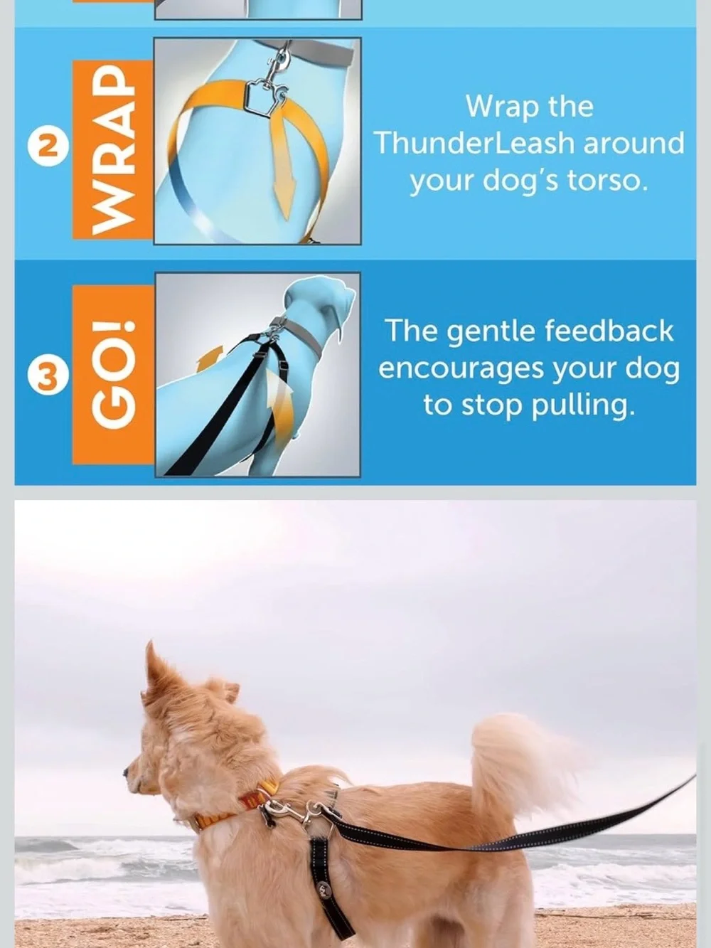 Thunderbird Brand converts dogs